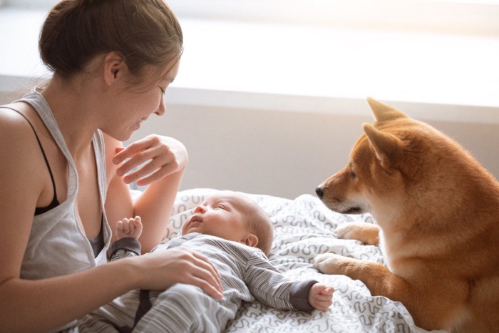 赤ちゃんのお世話をする母親と見つめる犬