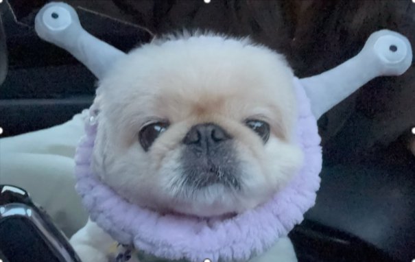 悶絶必至…！
