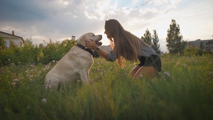 犬の頬に手を当てる女性