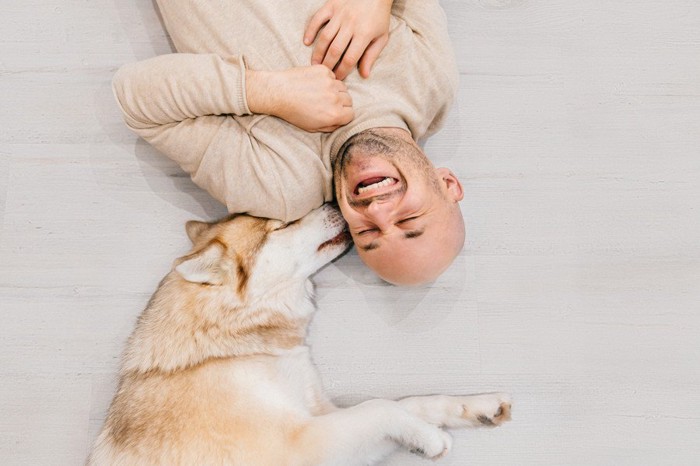 ハスキー犬と寝そべる男性