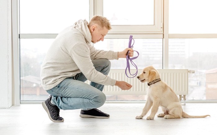 子犬のしつけをしている男性