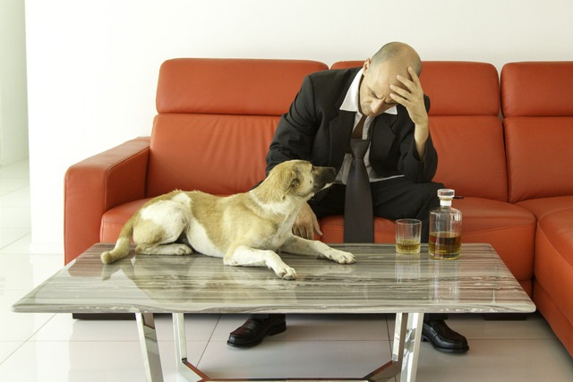 悩んでいる人と寄り添う犬