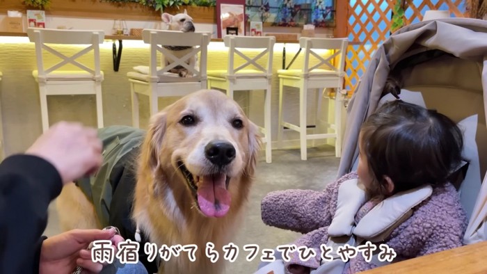 カフェでひとやすみ