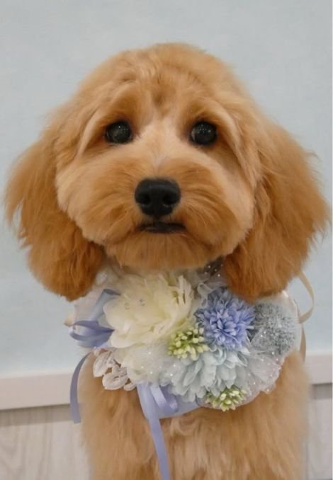 新入りのえんちゃん♡