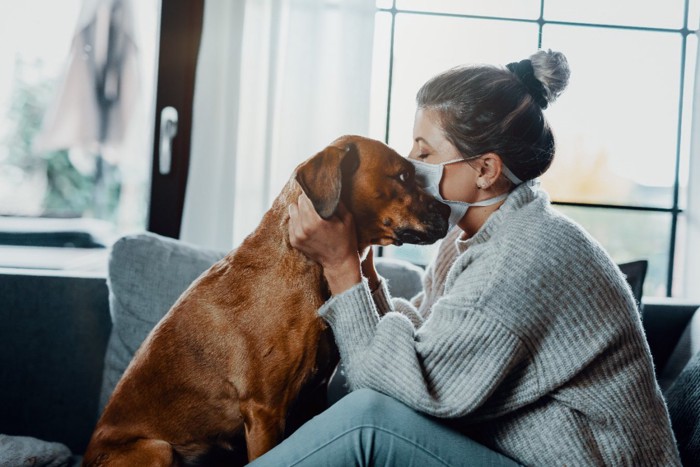 マスクを着けた女性と茶色い犬