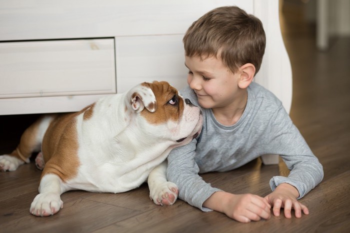 テーブル下に入ろうとする犬