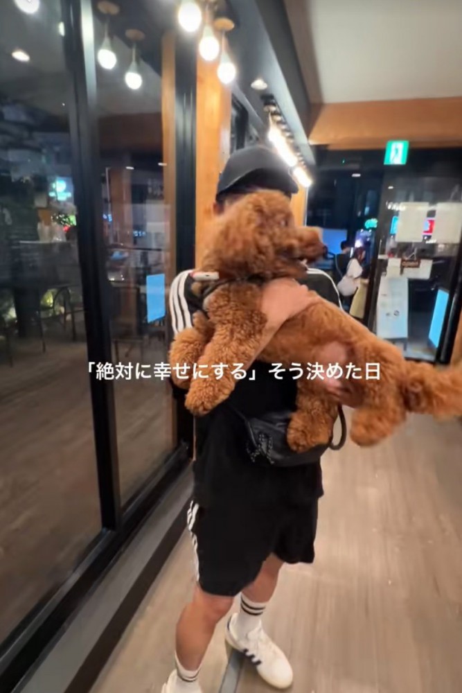 犬を抱っこする