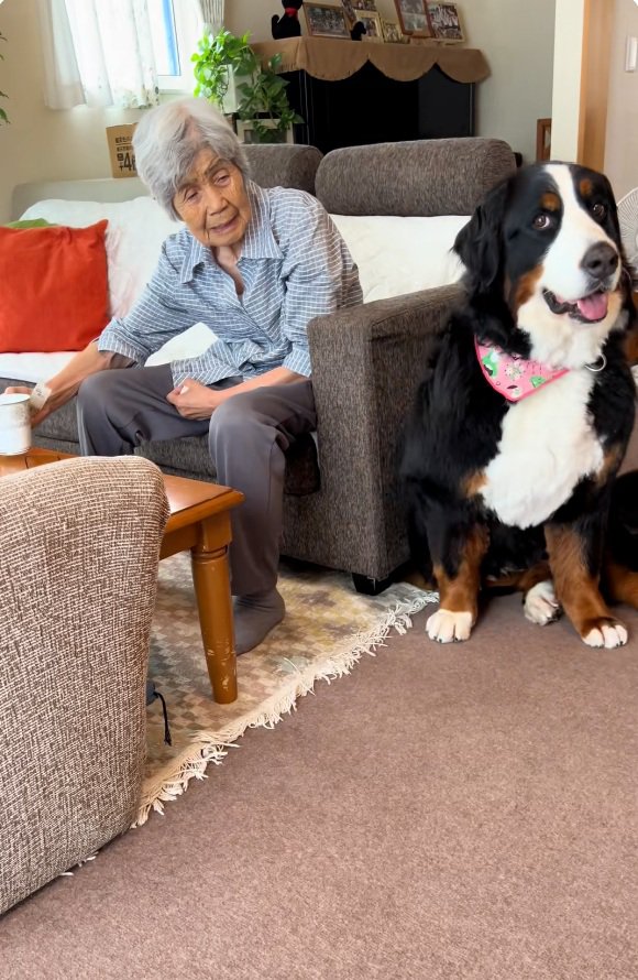 驚いたようなリンちゃん