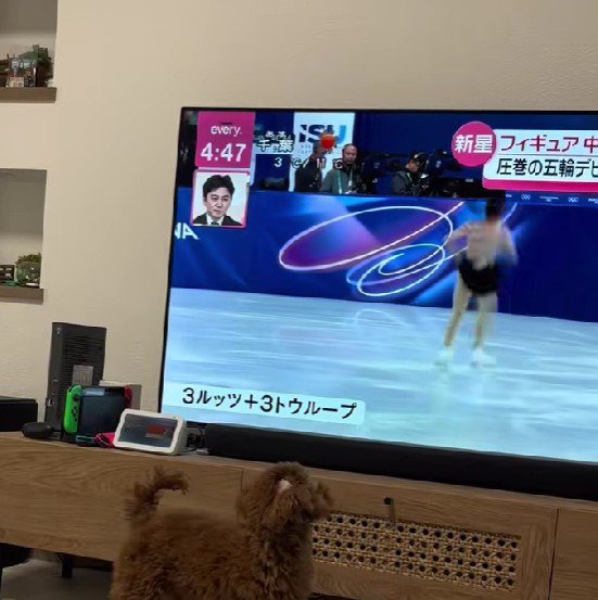 ソファで寛いでいたら…