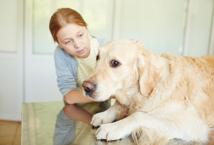 女性から目を背ける犬