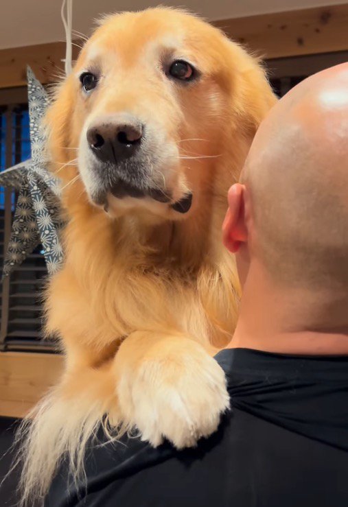 男性に抱っこされる真顔の犬