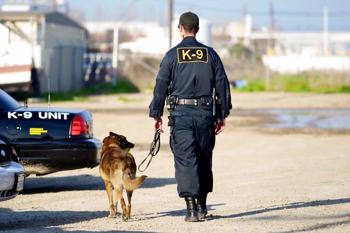 警察と歩く警察犬