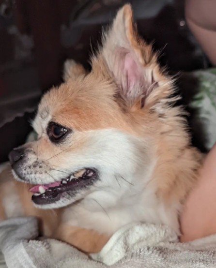 ママが戻ってきてから…