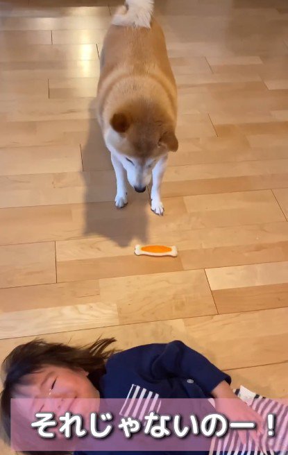 「それじゃないの!!」