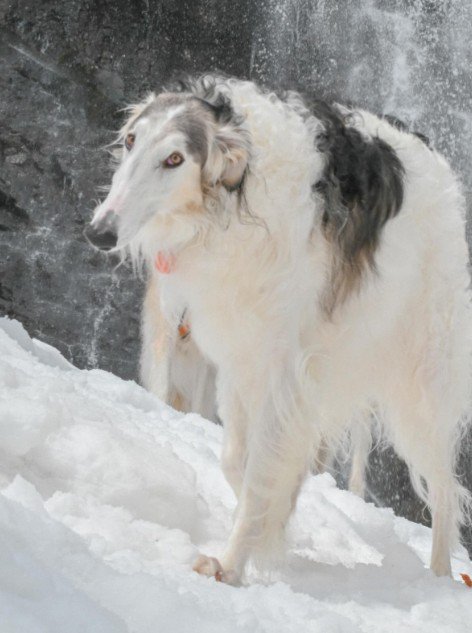 「ちょっと失礼」