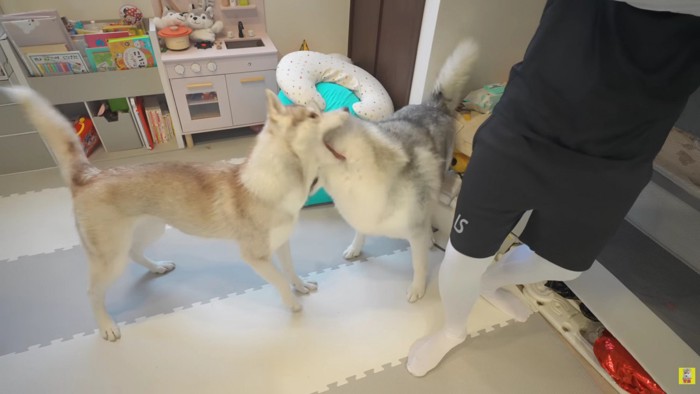 もめている間に赤ちゃんは…