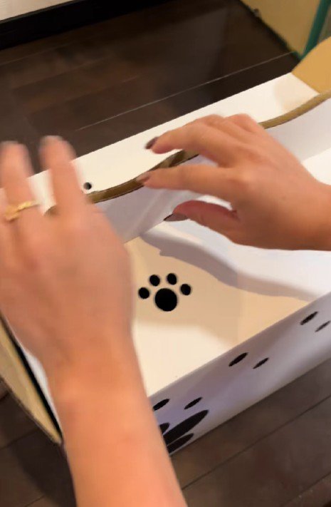 不安になっているかも…