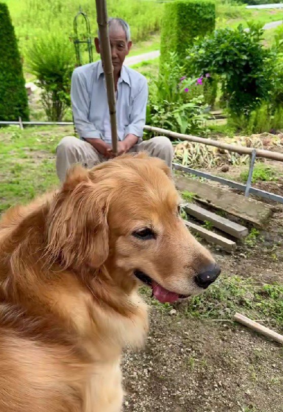 ちょっと危ない…？