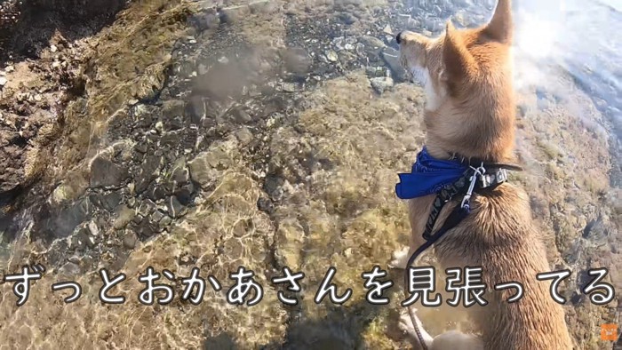 心配そう…！