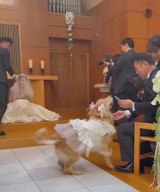 お父さんにベッタリ