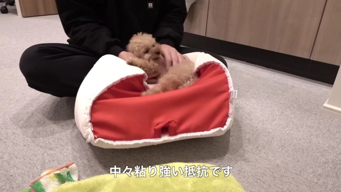 必死に抵抗！