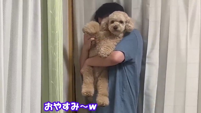 男性に抱っこされる犬