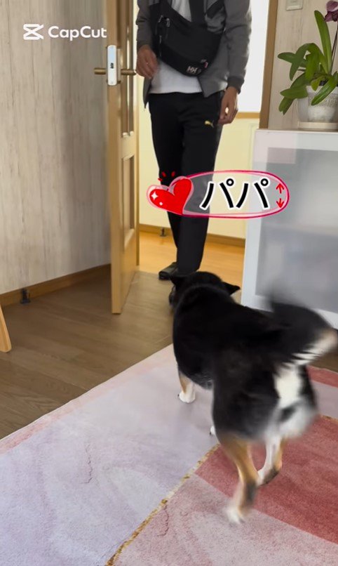 あずきちゃんとお父さんの再会