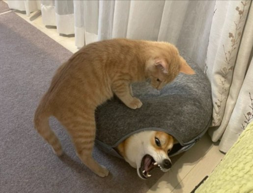 賑やかな日々