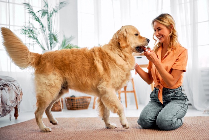 愛犬と遊ぶ女性