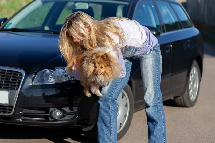 犬を抱えて移動させる女性