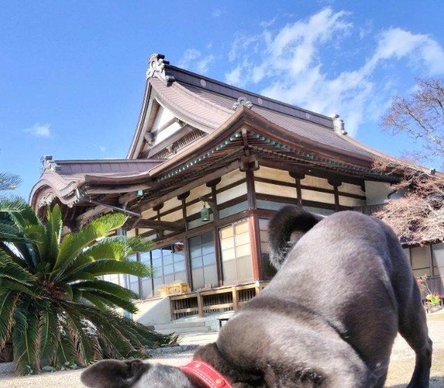 木蔭くんが上半身を低くして…