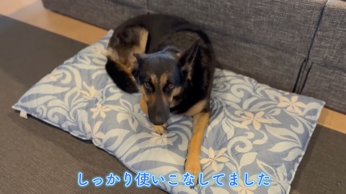 マットの上でリラックス