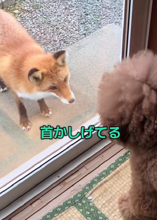 「あなた、誰…?」