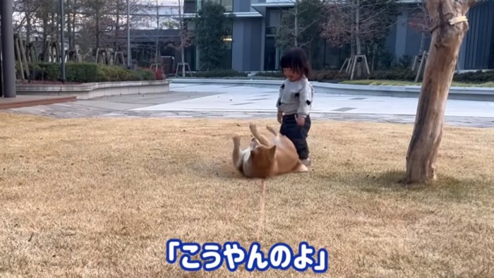 お手本を見せるわらびちゃん