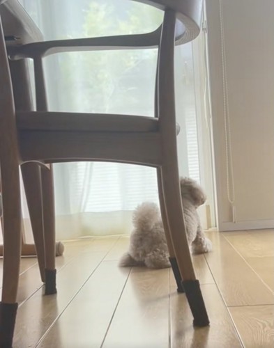 「もうだめ…」