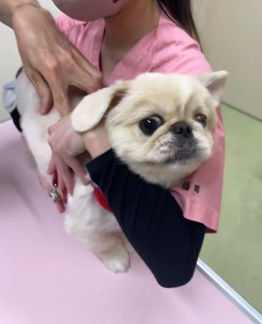 注射を打とうとしたら…