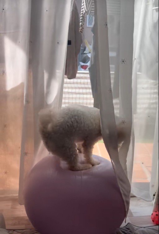 「おっと、危ない…」