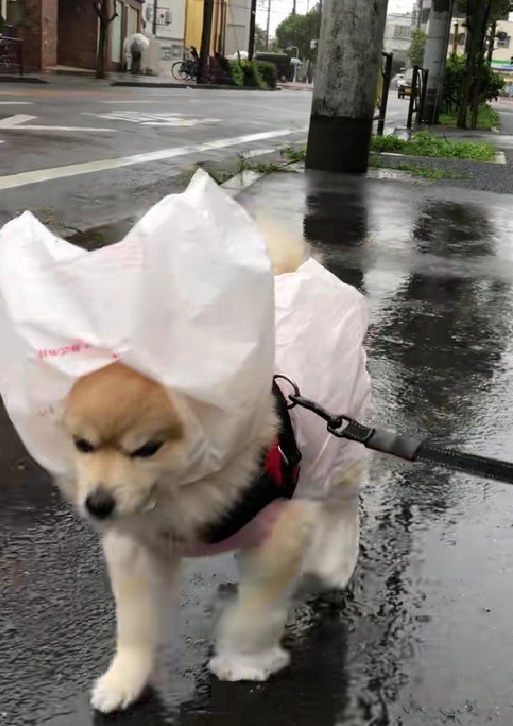 片っぽだけだから平気だよ！