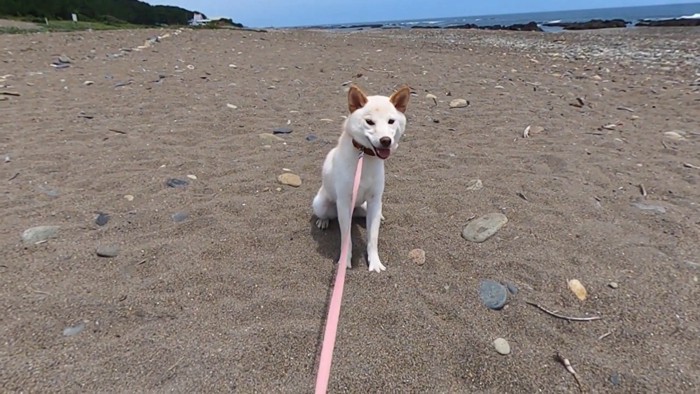少し落ち着いたようです