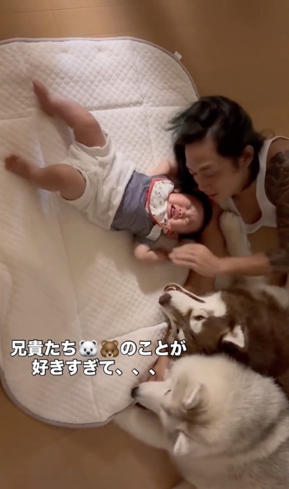 たぬきちくん「どした？」