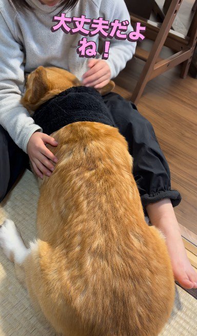 「大丈夫だよ」