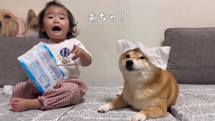 次のターゲットはうにくん