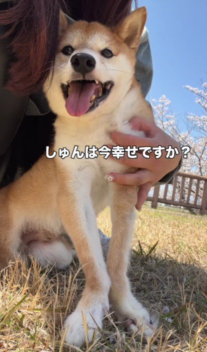 「いま、幸せですか?」