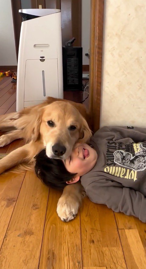 男の子の顔に頭を乗せる犬