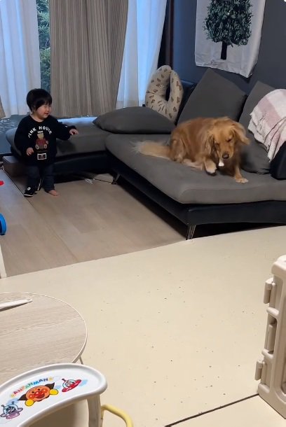 遊びに付き合うピノくん