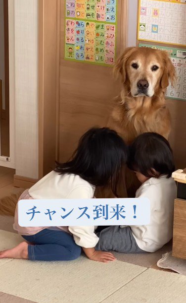 チャンスが到来!!