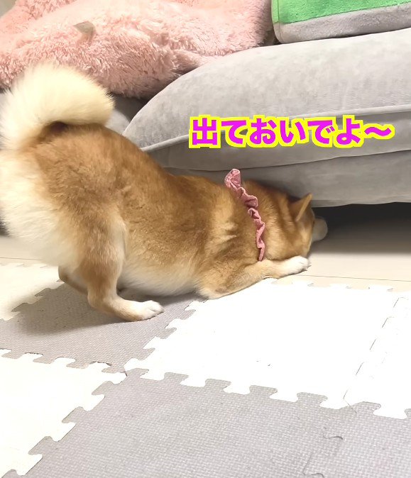 「大丈夫…？」