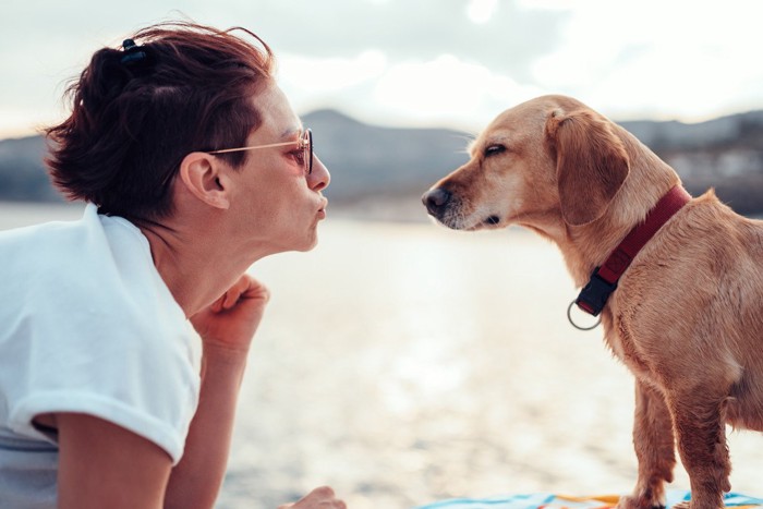 女性に目を見つめられる犬