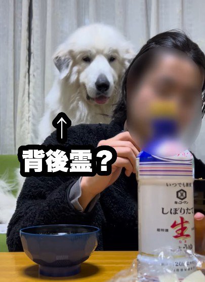 投稿主さんが食事をしていたとき