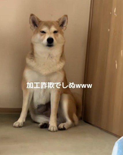 加工詐欺かな?